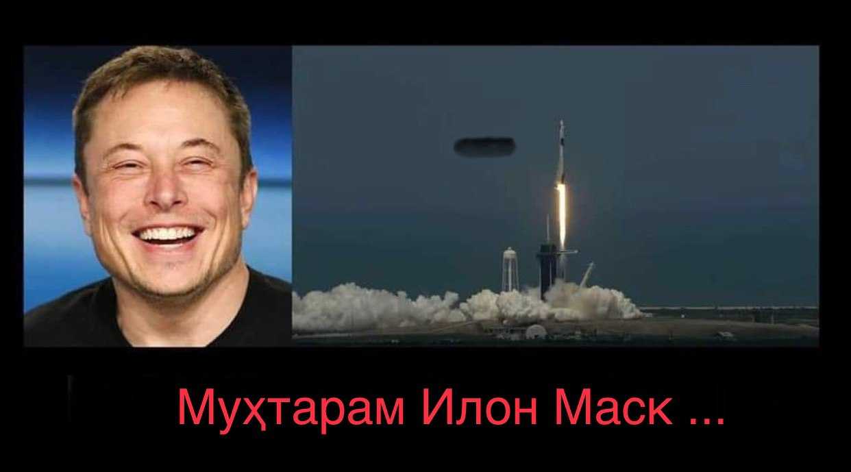 Проекты илона маска: spacex, solarcity, tesla, starlink и другие
