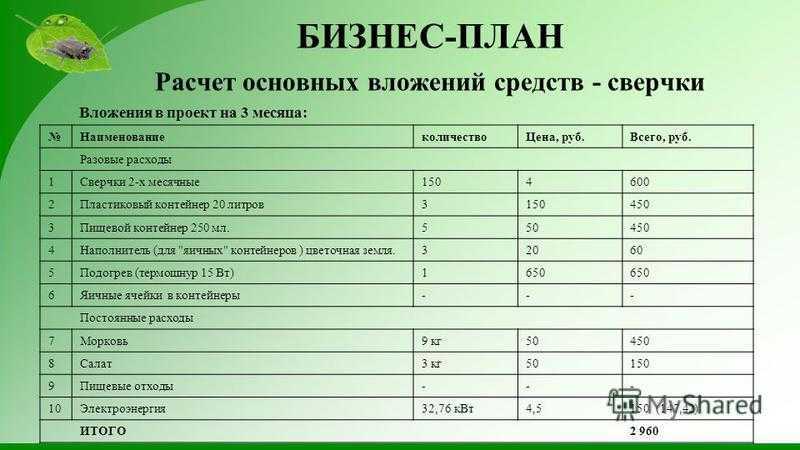 Бизнес-план магазина косметики и парфюмерии - от оформления документов до запуска рекламы