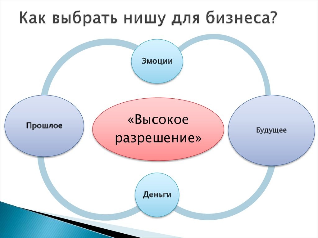 Как выбрать нишу для бизнеса - 5 простых шагов (+ список ниш) - мегаидеи