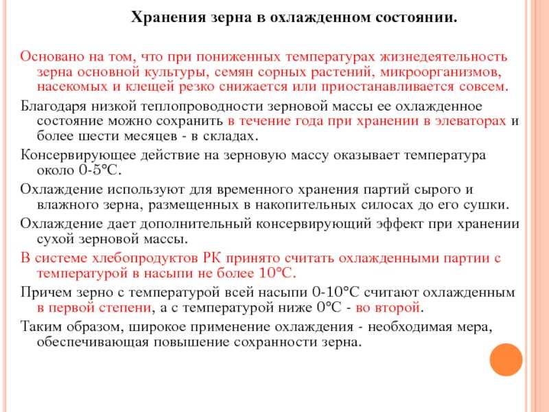 Хранение зерна: основные нормы, правила и стандарты