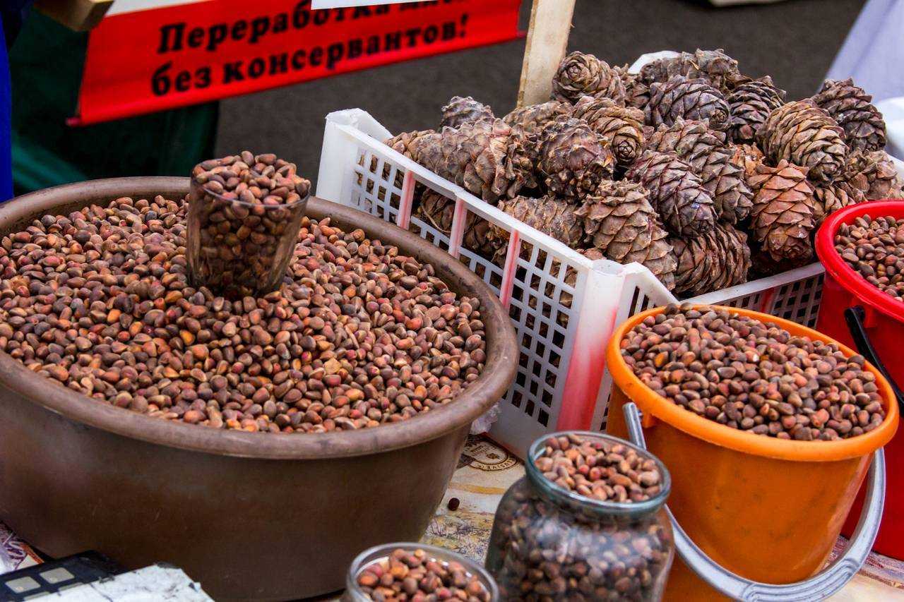 Как открыть доходный бизнес на производстве бизибордов (сентябрь 2023) — vipidei.com