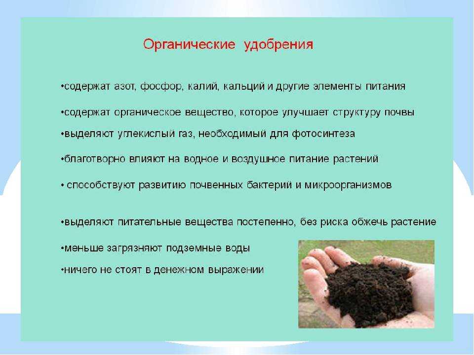 Производство торфяных брикетов из сырого торфа станок -