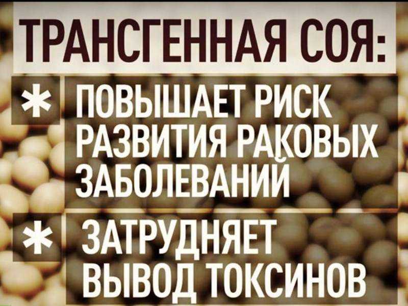 Легко и прибыльно: производство продуктов из сои как бизнес - стоит ли начинать