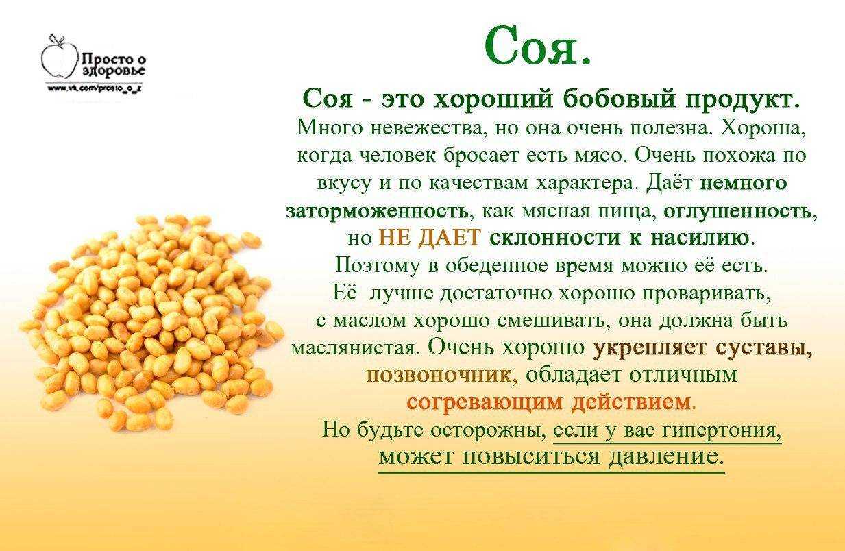 Соя: польза и вред изофлавонов для организма, влияние соевых продуктов на здоровье
