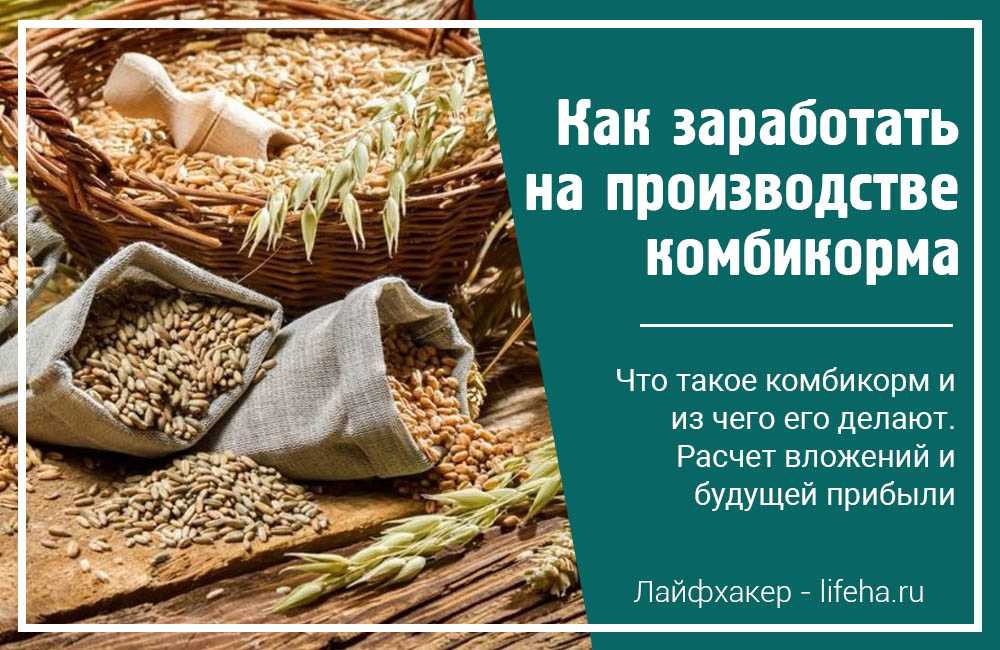 Производство комбикорма как бизнес: бизнес-план, оборудование, технология