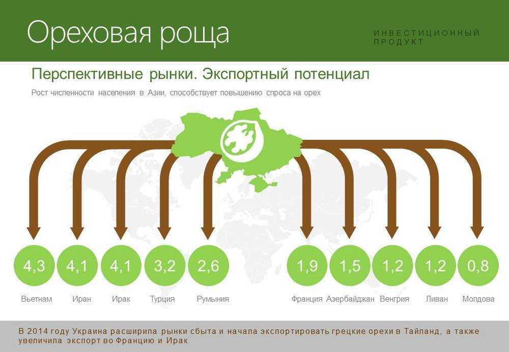 Бизнес на переработке грецкого ореха (сентябрь 2023) — vipidei.com