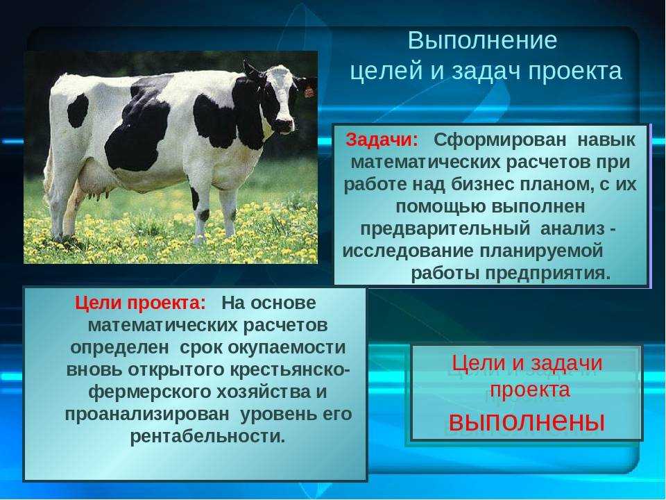 Свой бизнес: как открыть зоомагазин