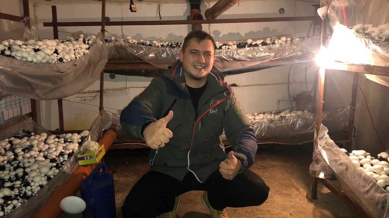 15 бизнес-идей мини-мастерских и производства на дому. идеи мини-производства в гараже, на дому и в подвале частного дома