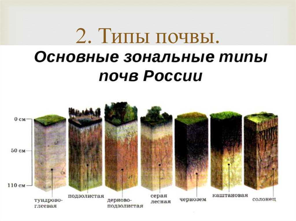 Как определить хороший чернозем или нет? 2023 - ооо "сибирский агросоюз"