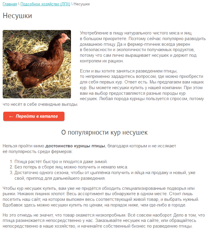 Разведение кур как бизнес — сколько кур нужно держать, чтобы зарабатывать 20 тысяч рублей в месяц