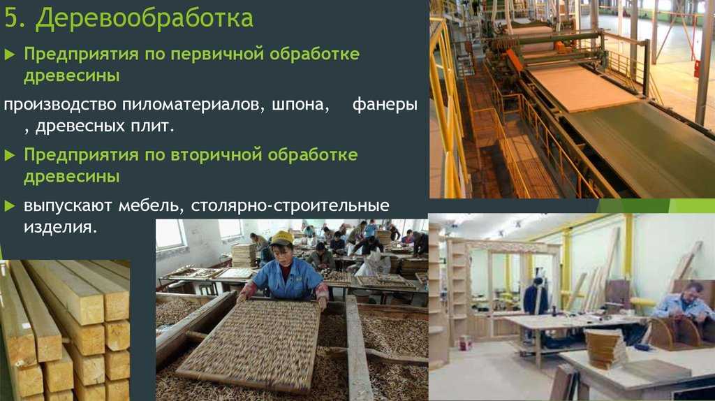 Лесная промышленность россии и мира, факторы размещения и проблемы