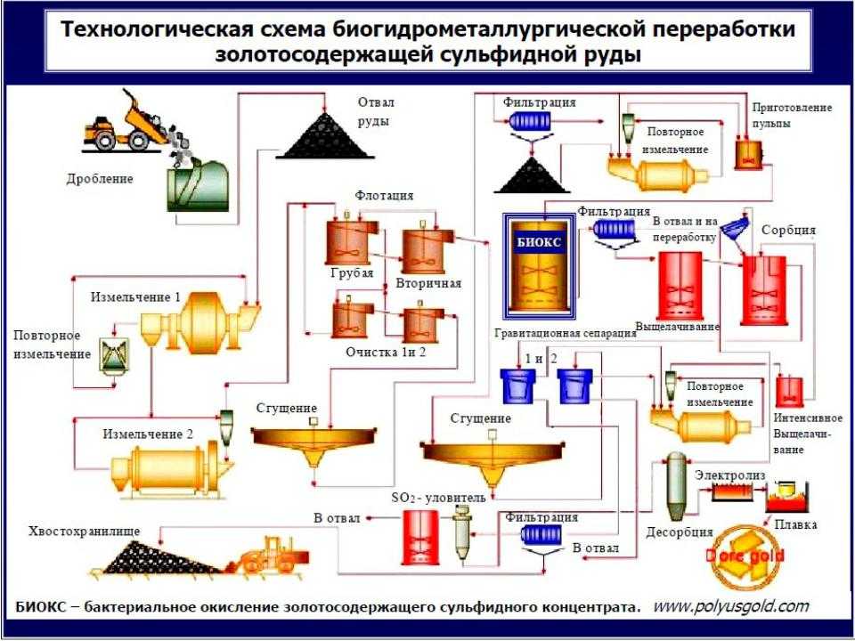 Как найти золото в реке: где искать, признаки местонахождения, как мыть