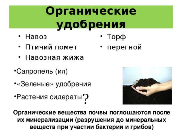 Бизнес план по продаже торфа