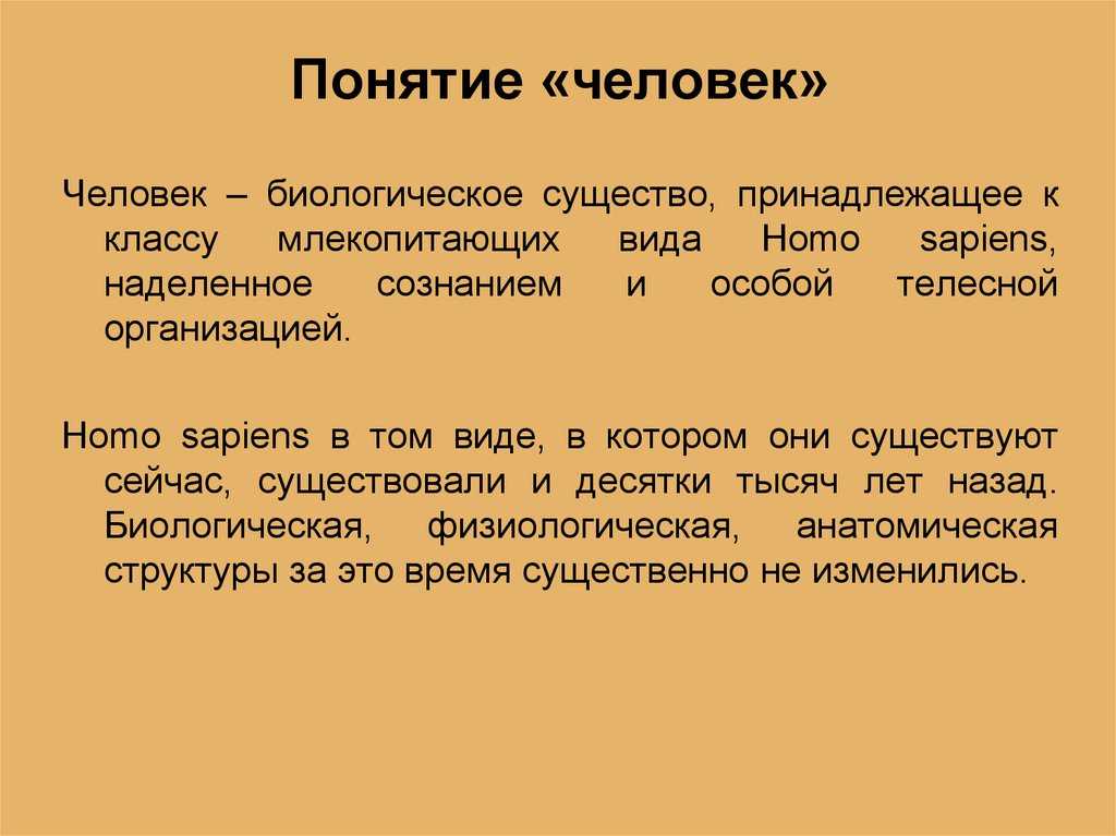 Как заполнить бухгалтерский баланс