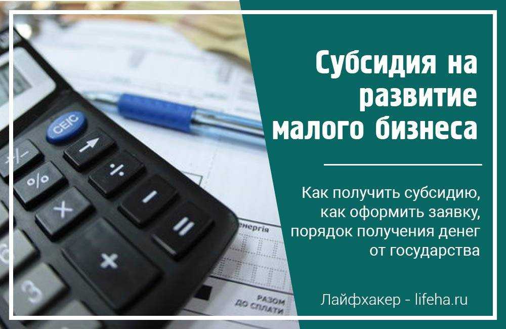 Гранты на открытие бизнеса – какие есть и где получить, другие меры поддержки