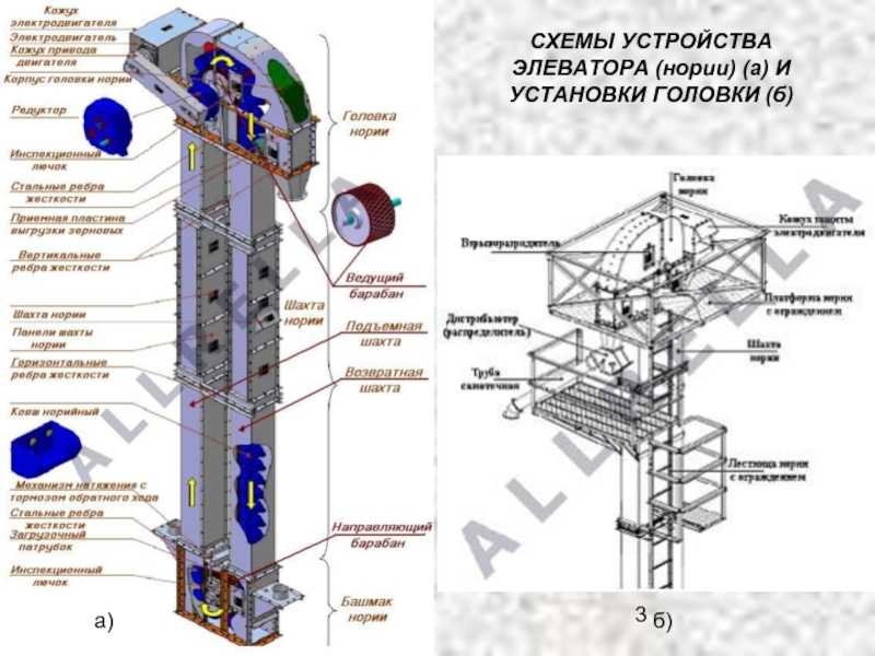 Нория (ковшовый элеватор) на современных предприятиях