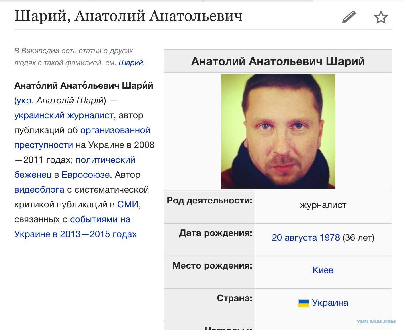 Влоги на ютуб