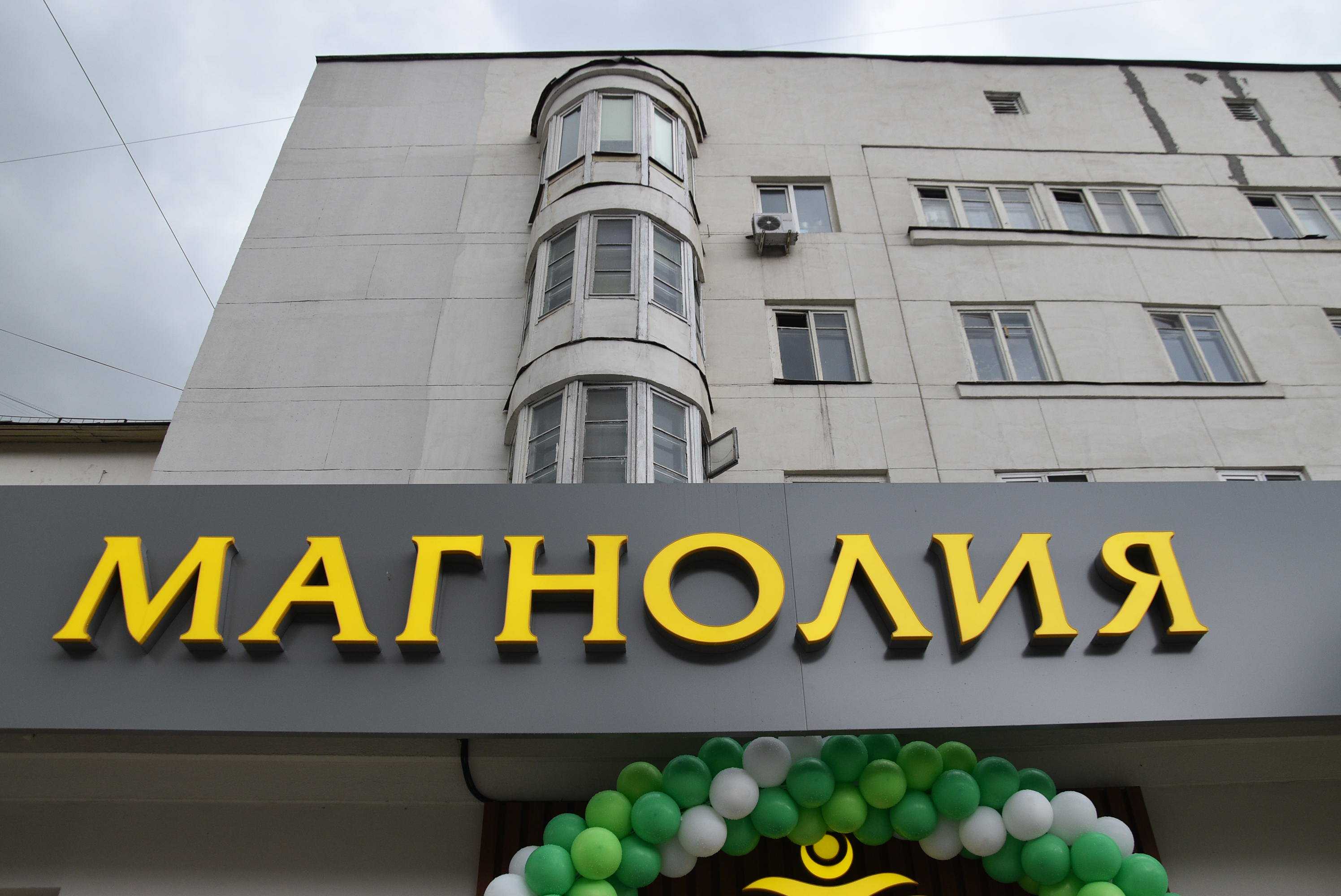 Кому принадлежит сеть магазинов магнолия кто владелец – результаты работы