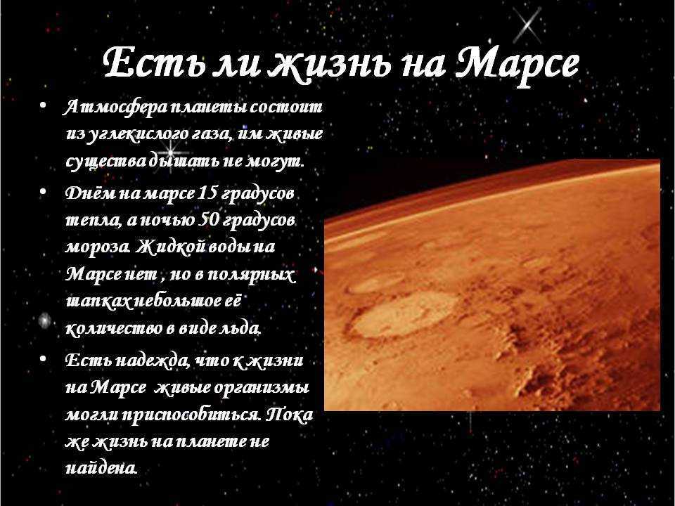 Компания mars: тесты, интервью, кейсы, ассесмент - hrlider.ru