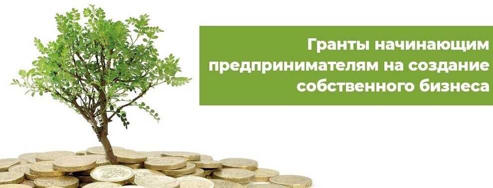 Гранты на открытие бизнеса – и другие меры поддержки от государства