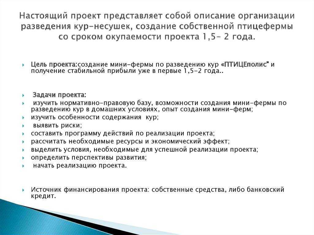 Разведение и выращивание кур на продажу – как сделать куриный бизнес выгодным и рентабельным?