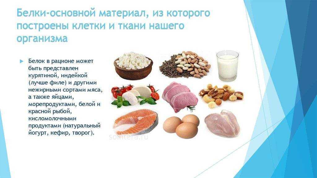 Белгородская область: гк «эфко» построила завод для разработки технологии сахарозаменителя - новости vbakalee.ru