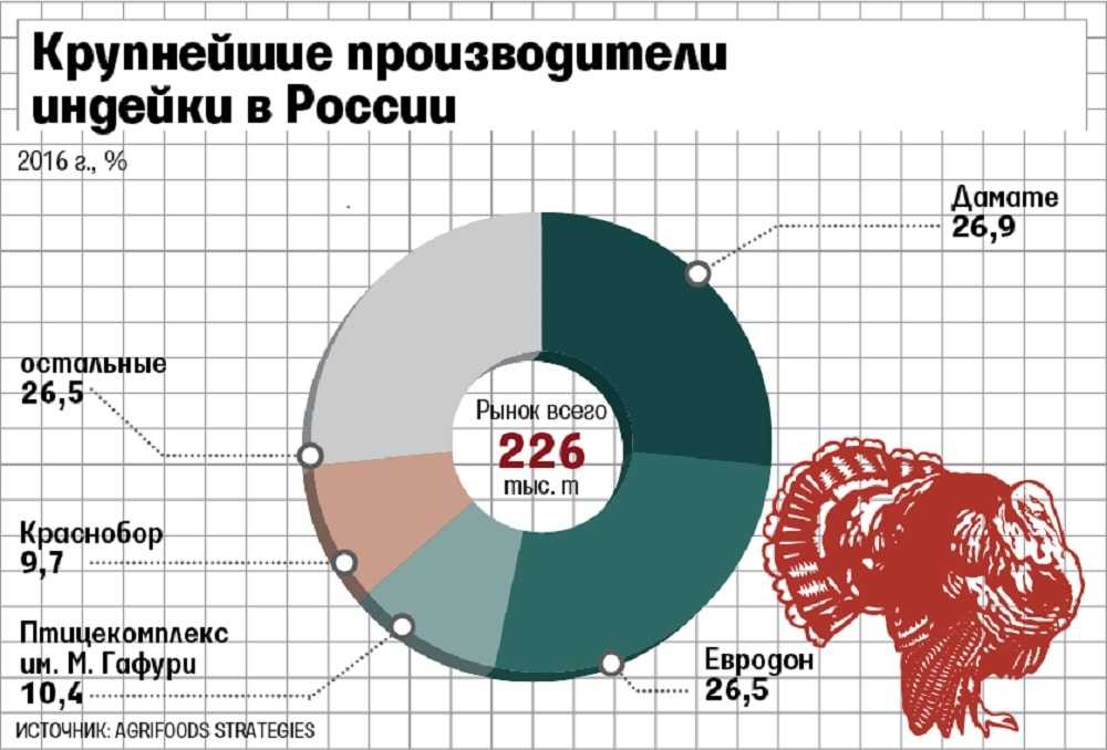 Рейтинг крупнейших производителей индейки в россии в 2022 году