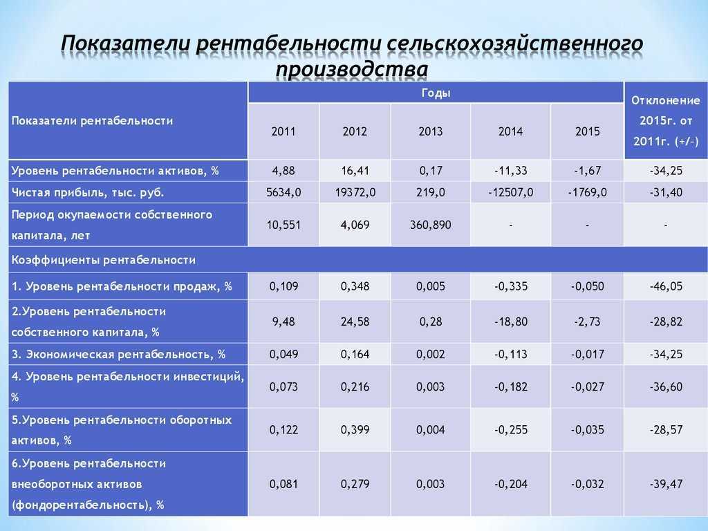 Как открыть детское кафе с нуля: с чего начать