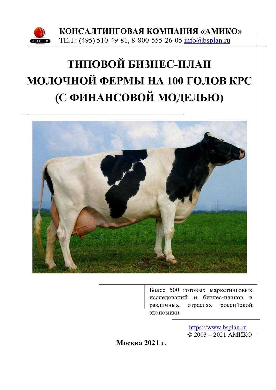 Организация молочной фермы с нуля: пошаговая инструкция