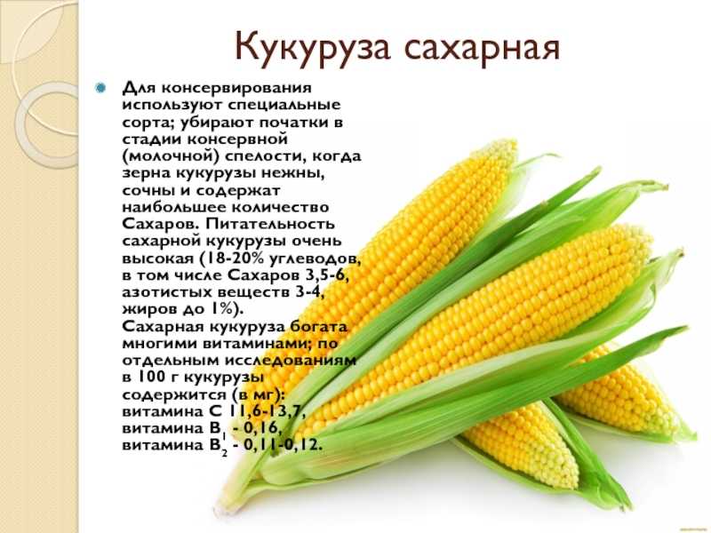 20 идей бизнеса с минимальными вложениями