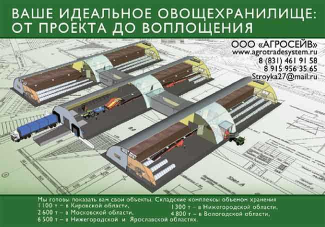 Бизнес-план овощехранилища: как построить выгодный бизнес – бизнес-идеи для женщин и девушек