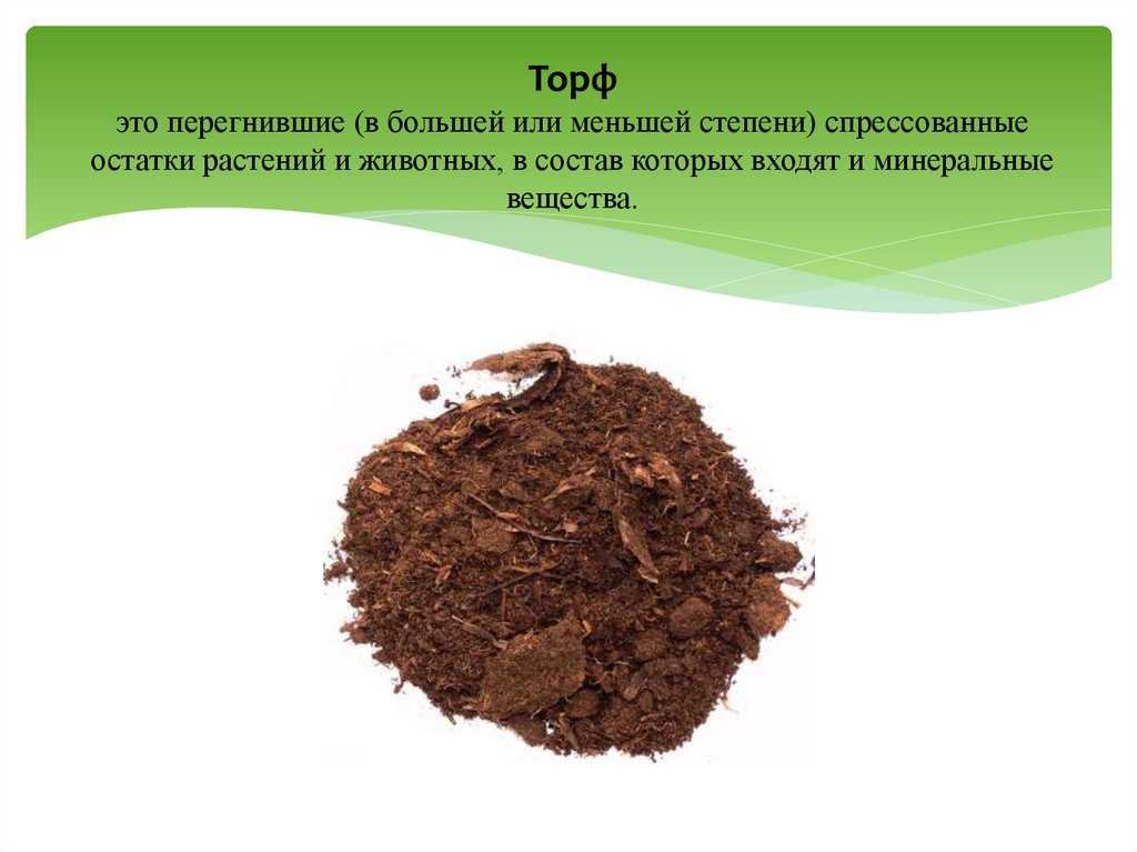 Торфяной бизнес: добыча торфа из торфяников и его дальнейшее использование