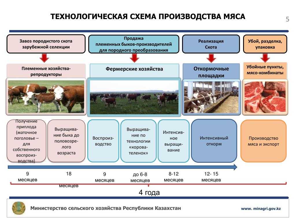 Как православный бизнесмен олег сирота променял навального на путина, бросил рублёвку и начал делать сыр