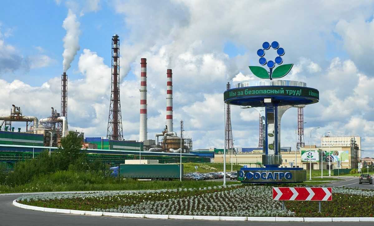 Рынок минеральных удобрений в 2022 году: государственное регулирование и санкции - аналитические статьи группы "деловой профиль"