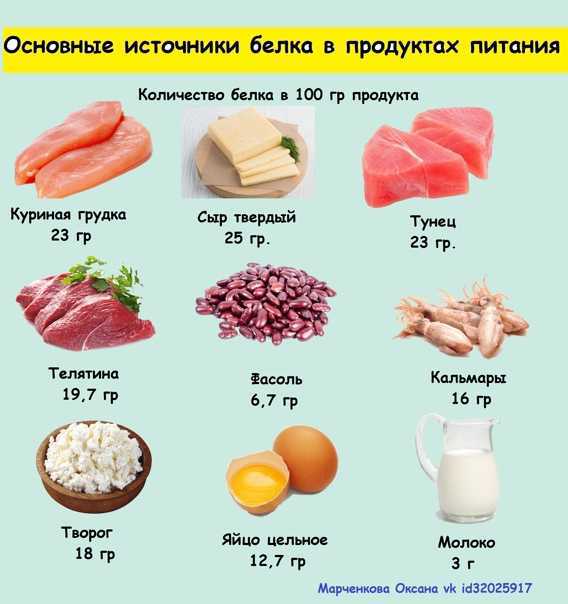 Новые планы ноц: спирулина, сладкий белок вместо сахара и животный белок из личинок мух