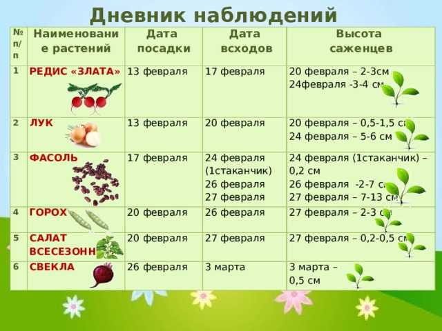 Свой бизнес в деревне: 21 прибыльная бизнес-идея