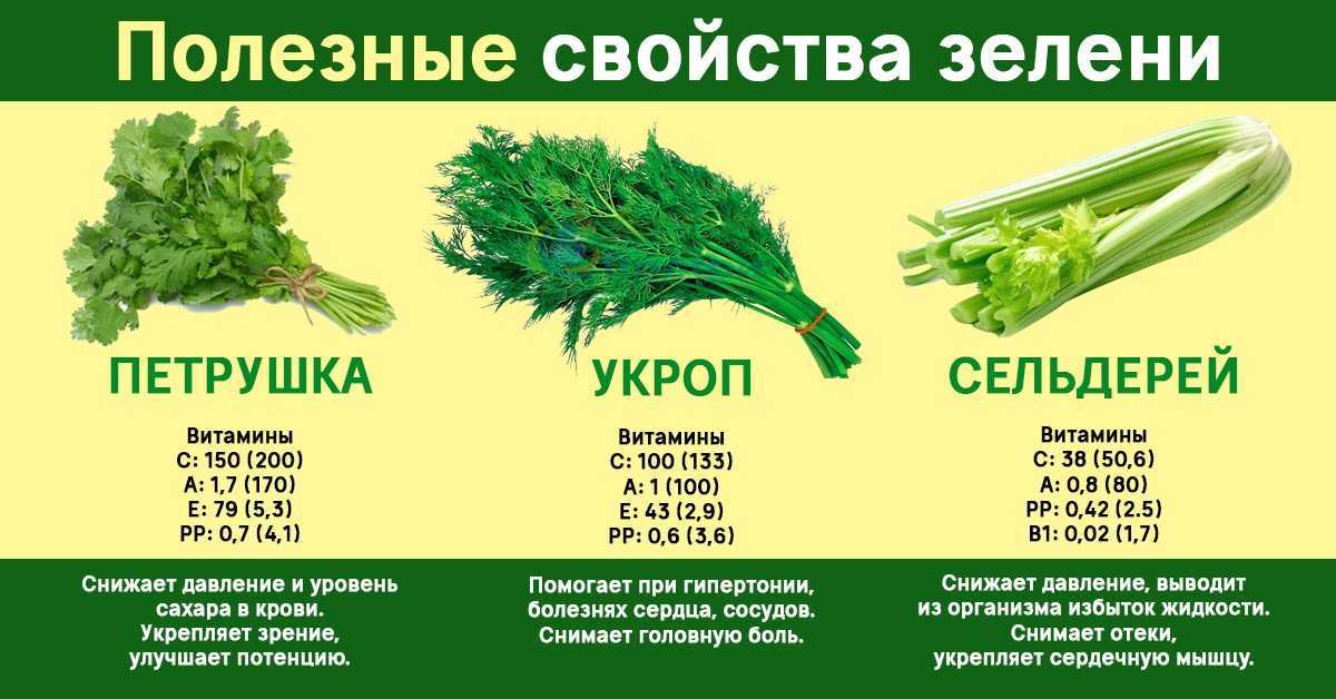 Выращивание зелени как бизнес: обзорная статья