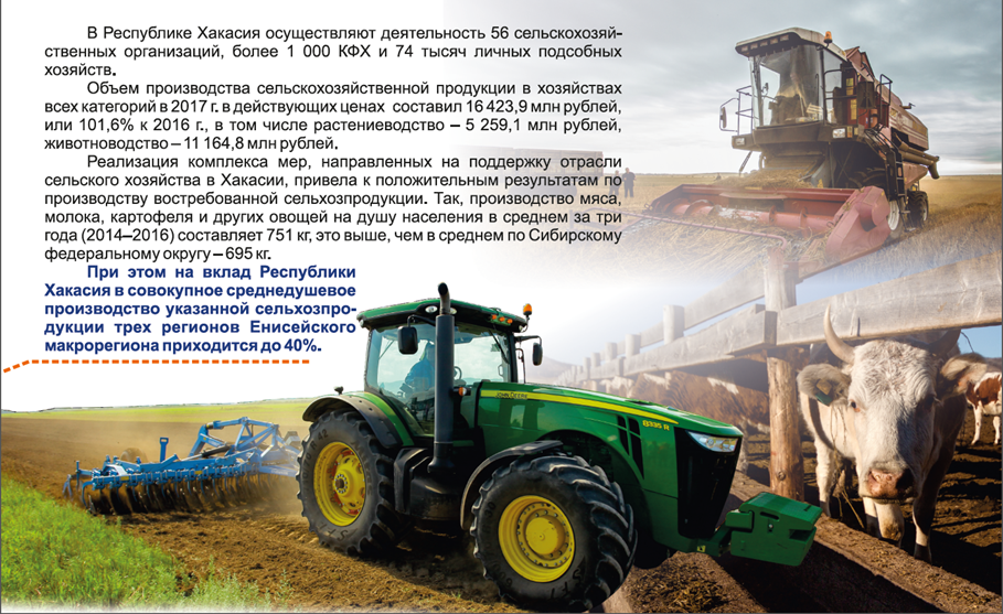 Разведение и выращивание форели в домашних условиях как бизнес | florabank.ru