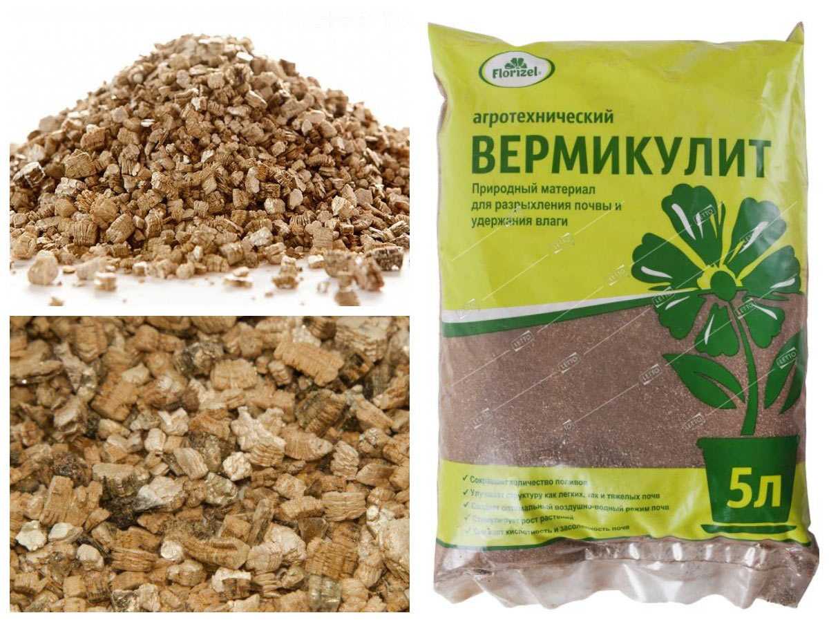 Вермикулит для растений как применять - ecodobavki