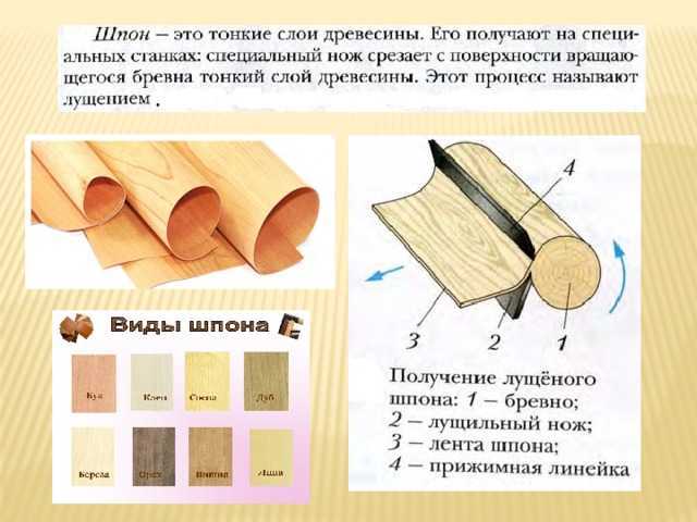 Бизнес план производства для шпона
