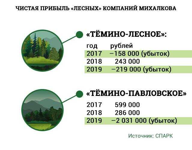 Михалков: сложные операции, роман с анастасией вертинской и скандал с наследником