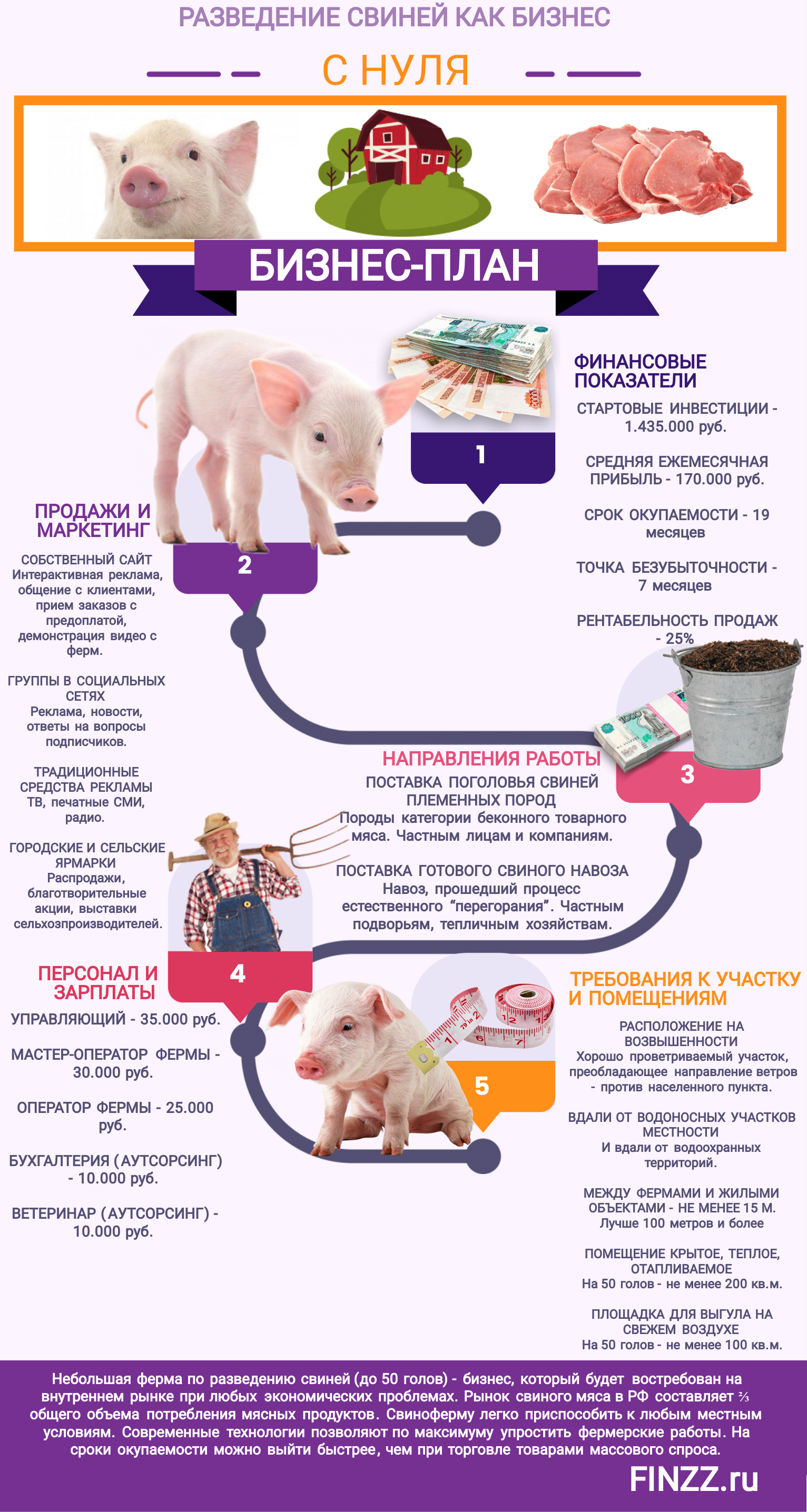 Рентабельность свиноводства в домашних условиях: нюансы, выгода