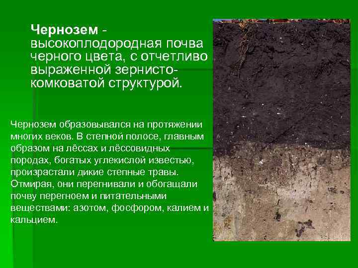 Выбираем что лучше для огорода: почвогрунт, чернозем или торф