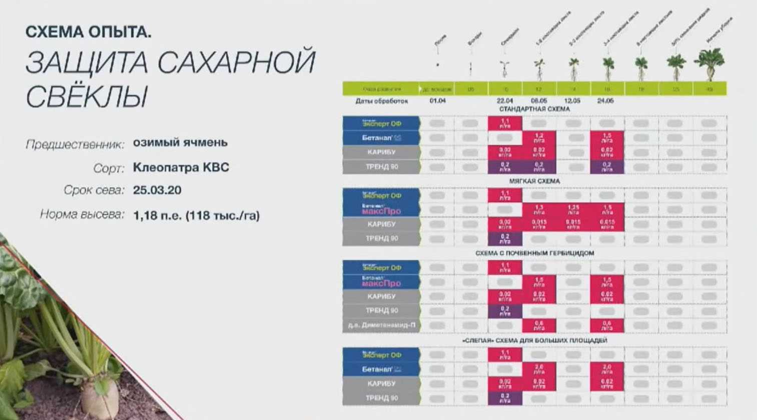 Свой бизнес в деревне: 21 прибыльная бизнес-идея