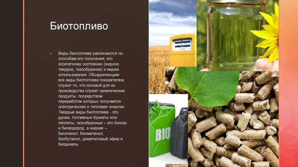 Способы получения биотоплива. реферат. технология машиностроения. 2010-12-01