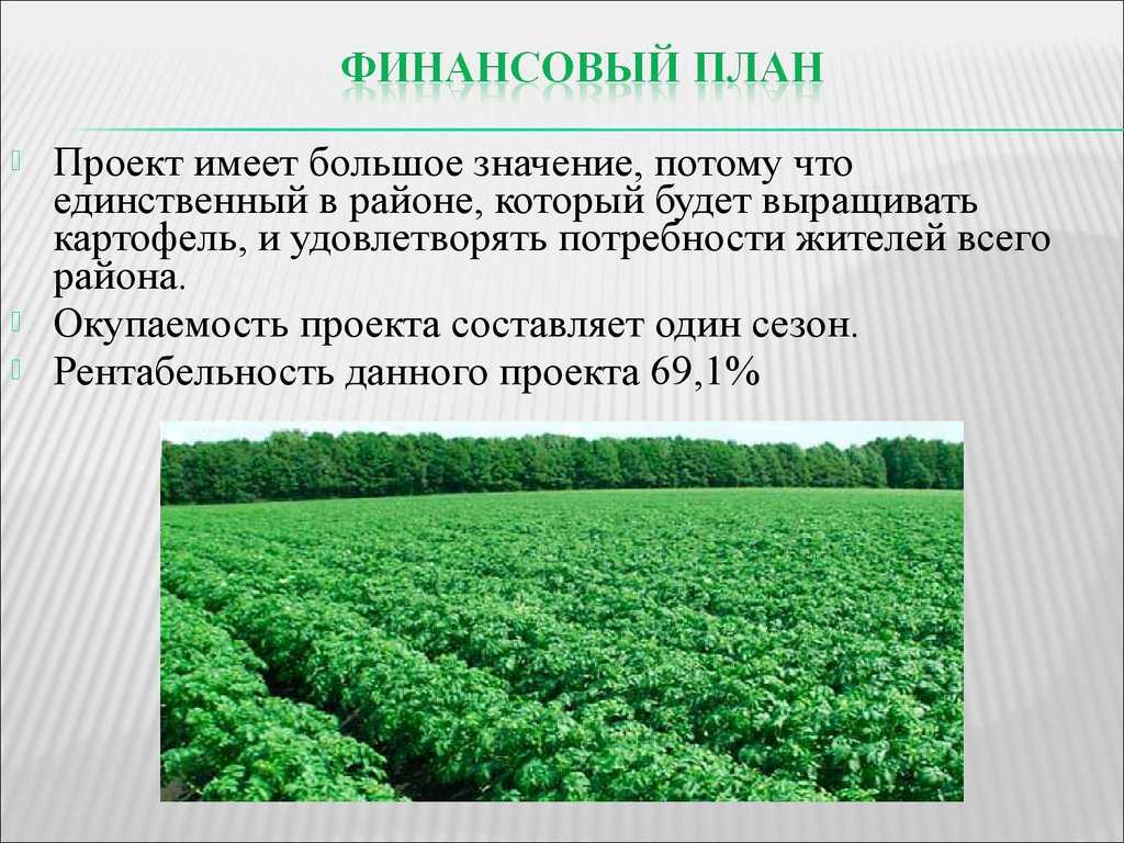 Бизнес-план по выращиванию картофеля, производству картошки скачать с готовыми расчетами