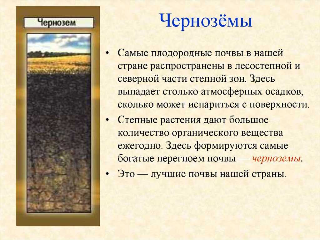 Чернозем эффективность применения в качестве удобрения