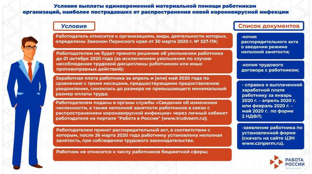 Может ли ип быть учредителем ооо или директором, правила и что говорит закон