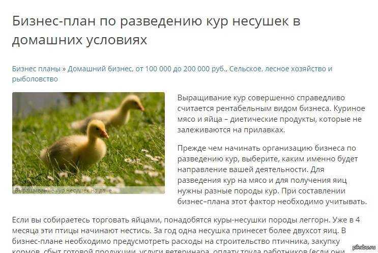Бизнес план птицефермы: готовые расчеты расходов и дохода, образец открытия, необходимые документы и справки для регистрации, код оквэд, маркетинг
