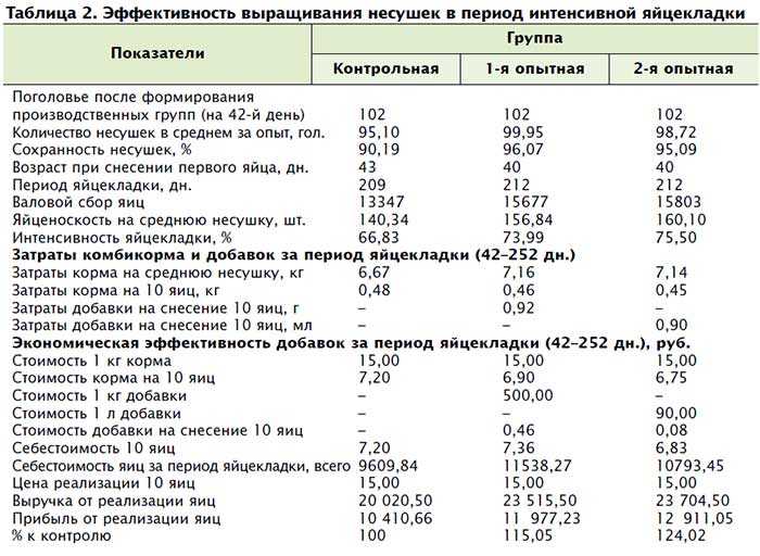 Составление бизнес плана для открытия перепелиной фермы | свой бизнес... отлично!